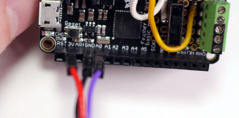 Connect the Pulse Sensor Amped to the Feather M0