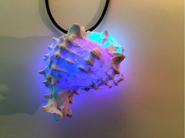 seashell pendant