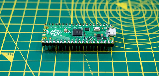 raspberry_1