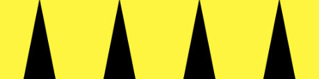 iris_22