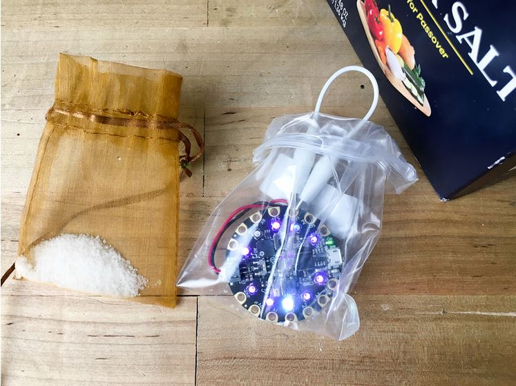 Bag in a Bag
